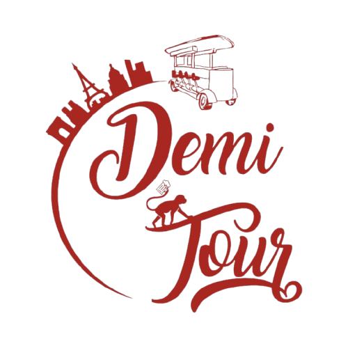 DemiTour Logo